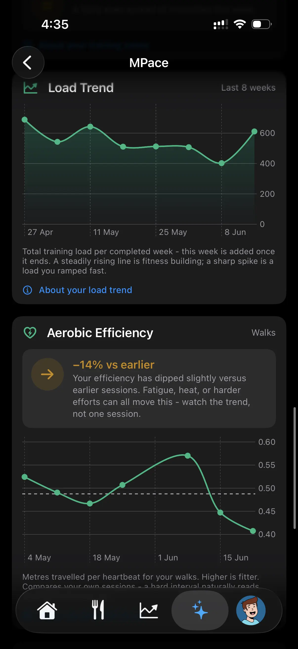 Metapace — Aerobic efficiency