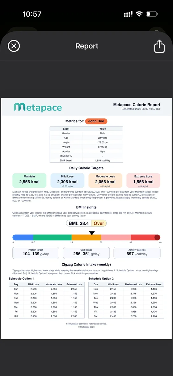 Metapace — BCA calorie report